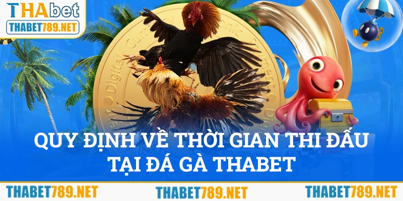 Quy định về thời gian thi đấu tại đá gà Thabet